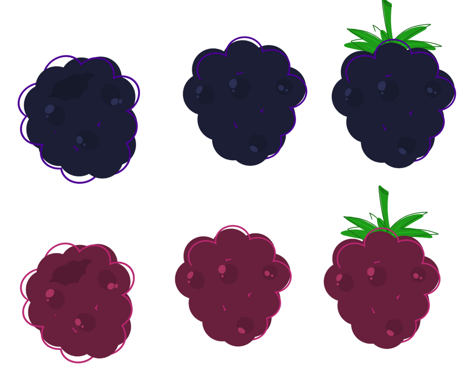 Blackberry & Rasberry